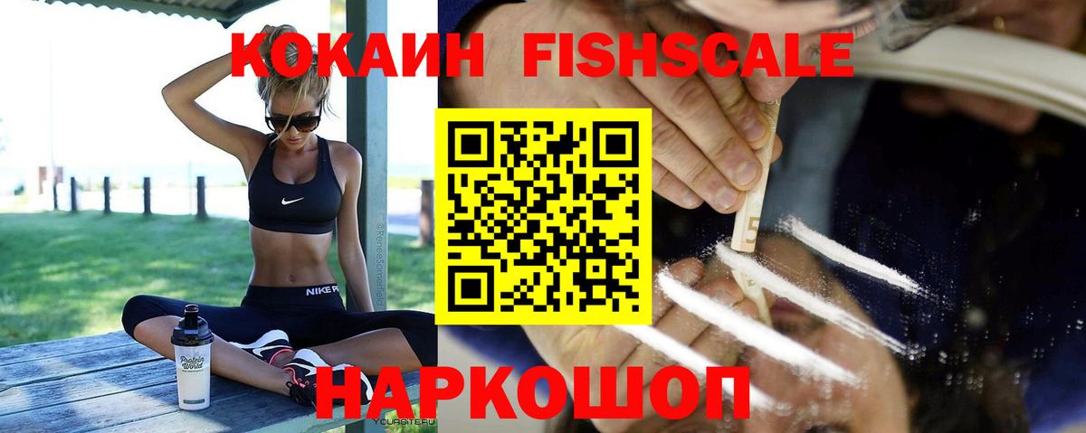 COCAIN Fish Scale Каменка